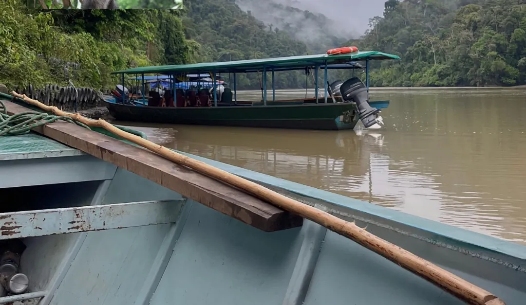 Boat on a misty river in Manu National Park