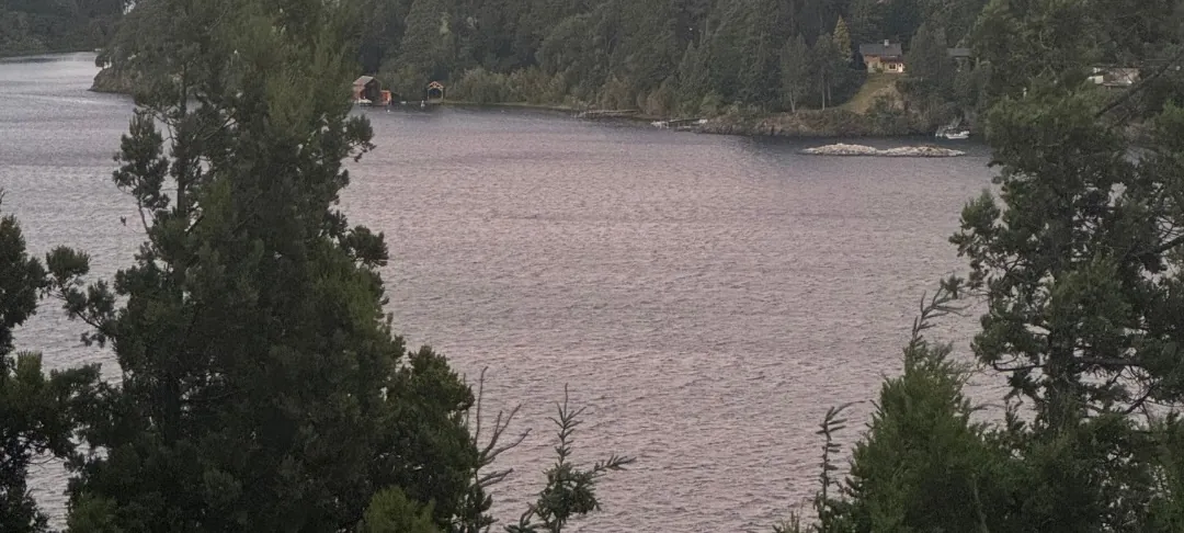 Lake and forest below Bariloche at sunset